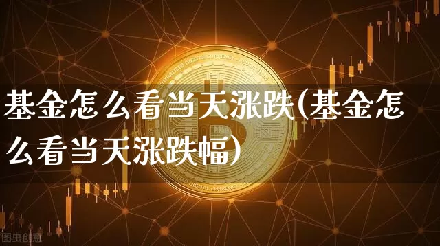 基金怎么看当天涨跌(基金怎么看当天涨跌幅)_https://www.czytfl.com_期货行情_第1张