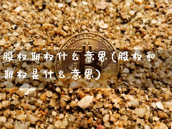 股权期权什么意思(股权和期权是什么意思)_https://www.czytfl.com_期货价格_第1张