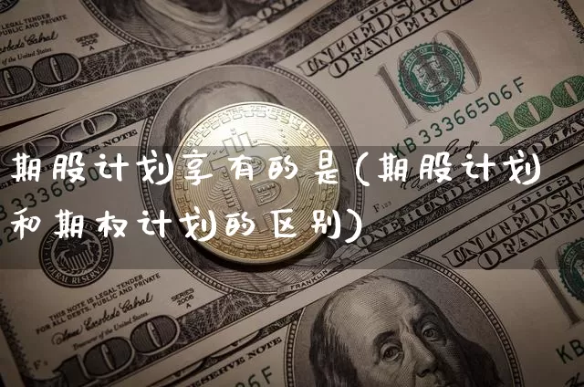期股计划享有的是(期股计划和期权计划的区别)_https://www.czytfl.com_期货_第1张