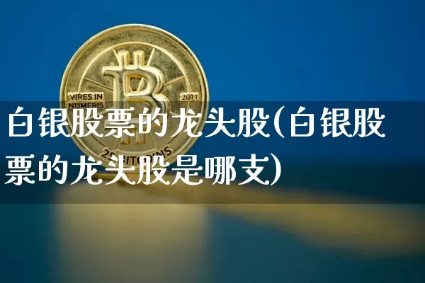 白银股票的龙头股(白银股票的龙头股是哪支)_https://www.czytfl.com_期货走势_第1张