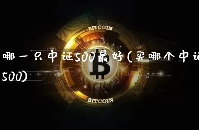 哪一只中证500最好(买哪个中证500)_https://www.czytfl.com_期货价格_第1张