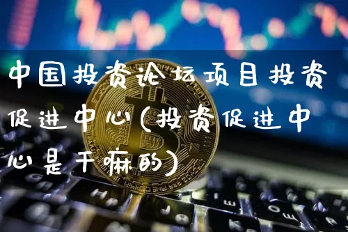 中国投资论坛项目投资促进中心(投资促进中心是干嘛的)_https://www.czytfl.com_期货_第1张
