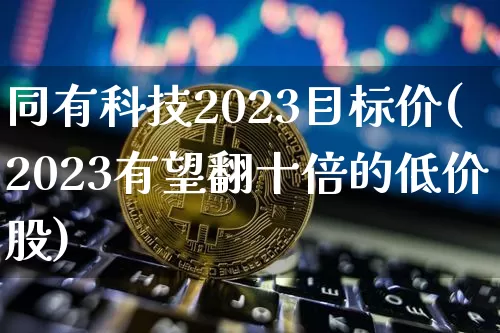 同有科技2023目标价(2023有望翻十倍的低价股)_https://www.czytfl.com_期货_第1张