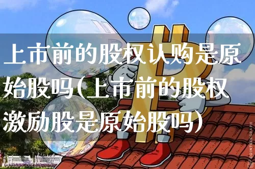 上市前的股权认购是原始股吗(上市前的股权激励股是原始股吗)_https://www.czytfl.com_期货行情_第1张