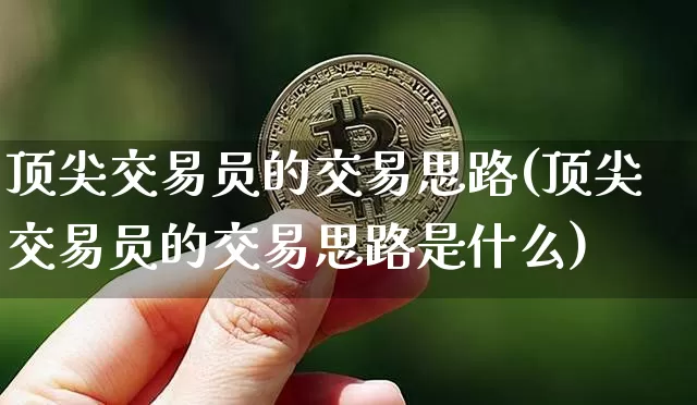 顶尖交易员的交易思路(顶尖交易员的交易思路是什么)_https://www.czytfl.com_期货走势_第1张