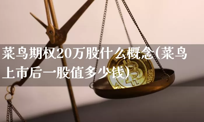 菜鸟期权20万股什么概念(菜鸟上市后一股值多少钱)_https://www.czytfl.com_期货价格_第1张