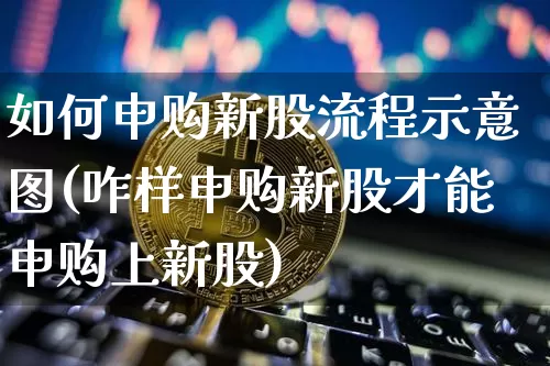 如何申购新股流程示意图(咋样申购新股才能申购上新股)_https://www.czytfl.com_期货行情_第1张
