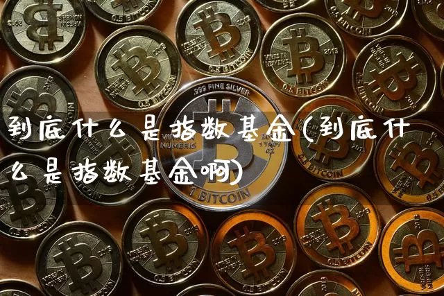 到底什么是指数基金(到底什么是指数基金啊)_https://www.czytfl.com_期货_第1张