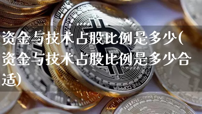 资金与技术占股比例是多少(资金与技术占股比例是多少合适)_https://www.czytfl.com_期货_第1张