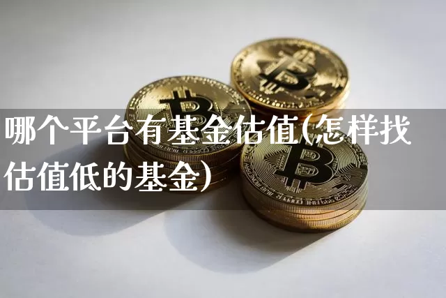 哪个平台有基金估值(怎样找估值低的基金)_https://www.czytfl.com_期货_第1张