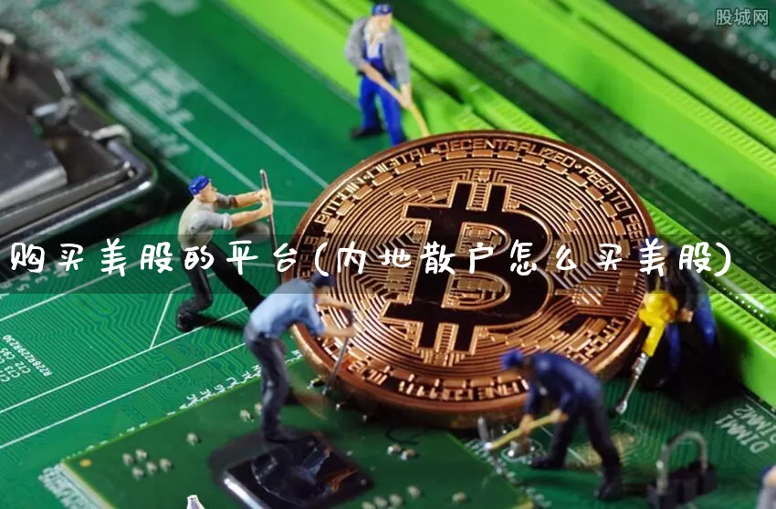 购买美股的平台(内地散户怎么买美股)_https://www.czytfl.com_期货行情_第1张