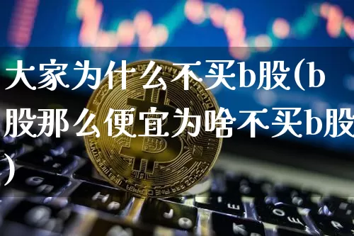 大家为什么不买b股(b股那么便宜为啥不买b股)_https://www.czytfl.com_期货_第1张