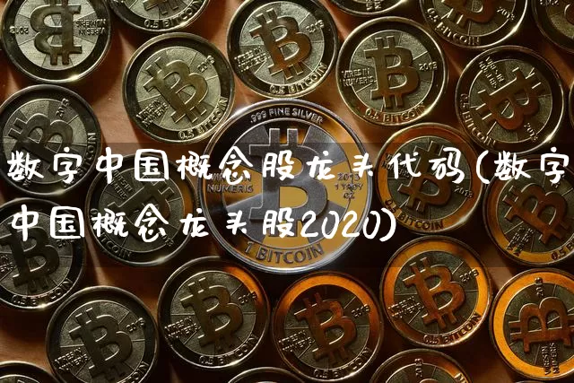 数字中国概念股龙头代码(数字中国概念龙头股2020)_https://www.czytfl.com_期货走势_第1张