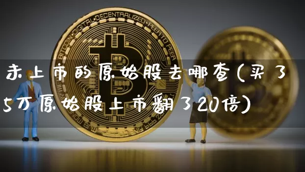 未上市的原始股去哪查(买了5万原始股上市翻了20倍)_https://www.czytfl.com_期货走势_第1张