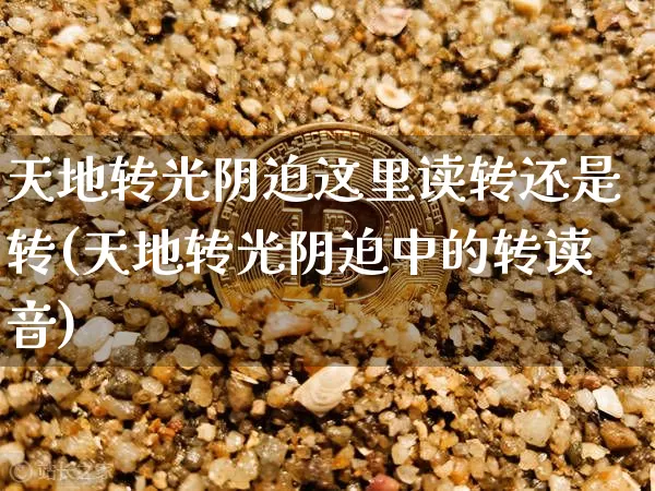 天地转光阴迫这里读转还是转(天地转光阴迫中的转读音)_https://www.czytfl.com_期货价格_第1张