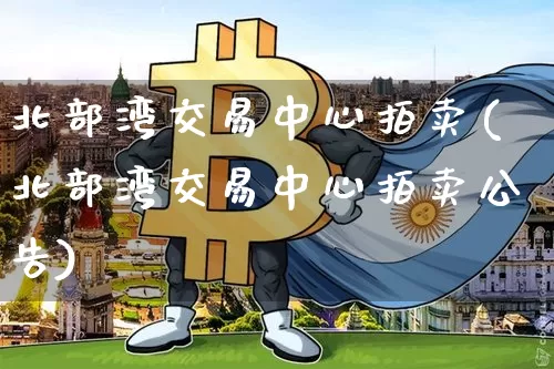 北部湾交易中心拍卖(北部湾交易中心拍卖公告)_https://www.czytfl.com_期货价格_第1张