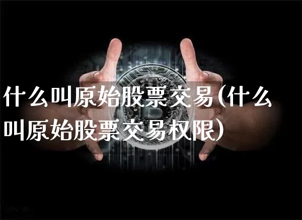 什么叫原始股票交易(什么叫原始股票交易权限)_https://www.czytfl.com_期货_第1张