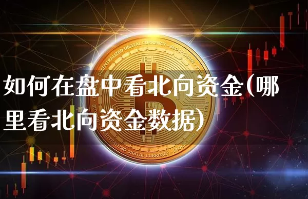 如何在盘中看北向资金(哪里看北向资金数据)_https://www.czytfl.com_期货价格_第1张