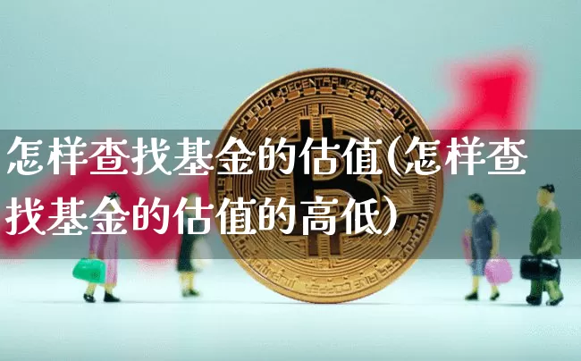 怎样查找基金的估值(怎样查找基金的估值的高低)_https://www.czytfl.com_期货行情_第1张