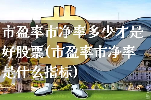 市盈率市净率多少才是好股票(市盈率市净率是什么指标)_https://www.czytfl.com_期货行情_第1张