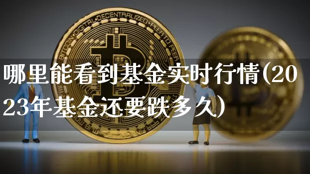 哪里能看到基金实时行情(2023年基金还要跌多久)_https://www.czytfl.com_期货行情_第1张