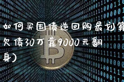如何买国债逆回购最划算(欠债30万靠9000元翻身)_https://www.czytfl.com_期货价格_第1张