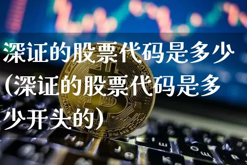 深证的股票代码是多少(深证的股票代码是多少开头的)_https://www.czytfl.com_期货_第1张