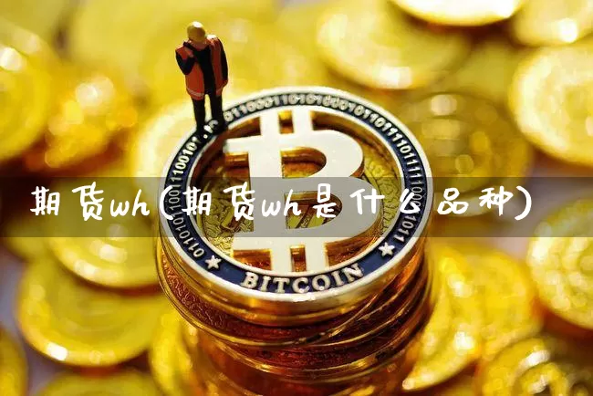 期货wh(期货wh是什么品种)_https://www.czytfl.com_期货行情_第1张