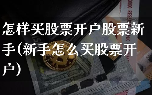 怎样买股票开户股票新手(新手怎么买股票开户)_https://www.czytfl.com_期货_第1张