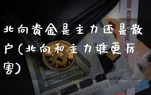 北向资金是主力还是散户(北向和主力谁更厉害)_https://www.czytfl.com_期货_第1张