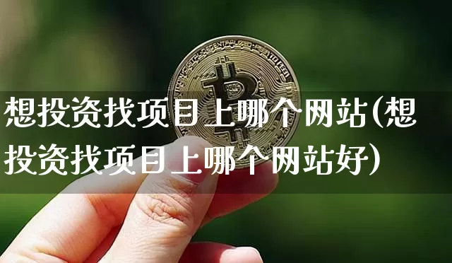 想投资找项目上哪个网站(想投资找项目上哪个网站好)_https://www.czytfl.com_期货_第1张