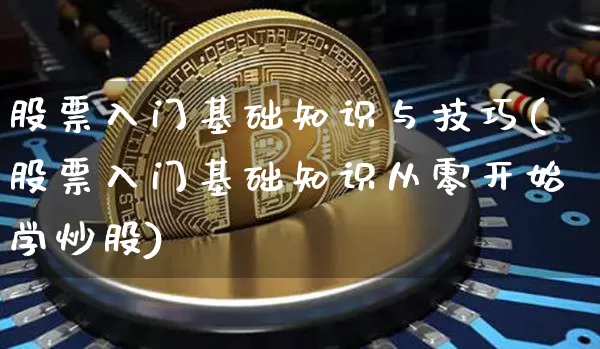股票入门基础知识与技巧(股票入门基础知识从零开始学炒股)_https://www.czytfl.com_期货_第1张