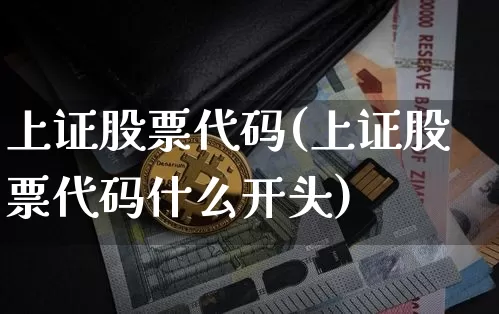 上证股票代码(上证股票代码什么开头)_https://www.czytfl.com_期货_第1张