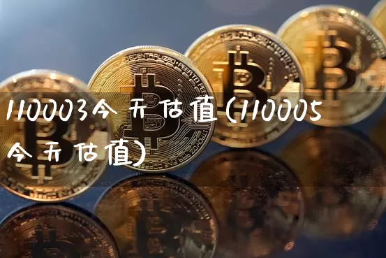110003今天估值(110005今天估值)_https://www.czytfl.com_期货价格_第1张