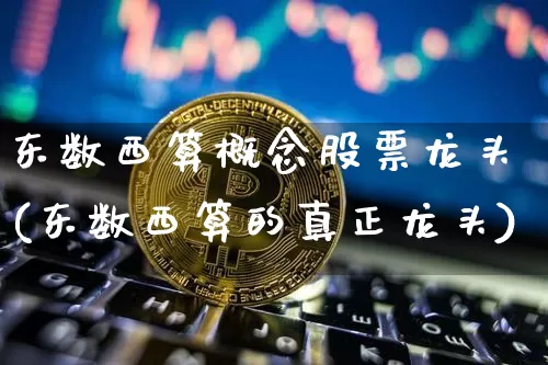 东数西算概念股票龙头(东数西算的真正龙头)_https://www.czytfl.com_期货行情_第1张
