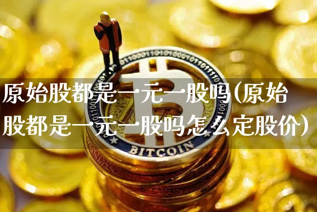 原始股都是一元一股吗(原始股都是一元一股吗怎么定股价)_https://www.czytfl.com_期货价格_第1张