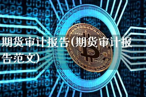 期货审计报告(期货审计报告范文)_https://www.czytfl.com_期货价格_第1张