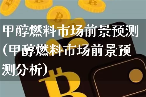 甲醇燃料市场前景预测(甲醇燃料市场前景预测分析)_https://www.czytfl.com_期货行情_第1张