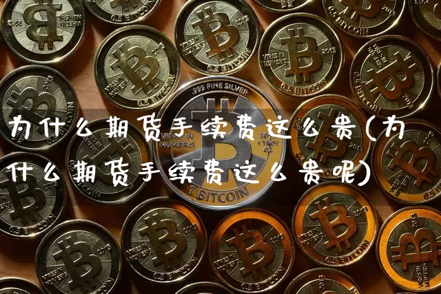 为什么期货手续费这么贵(为什么期货手续费这么贵呢)_https://www.czytfl.com_期货走势_第1张