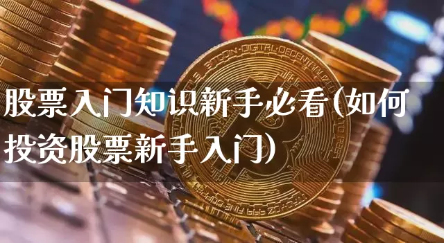 股票入门知识新手必看(如何投资股票新手入门)_https://www.czytfl.com_期货价格_第1张