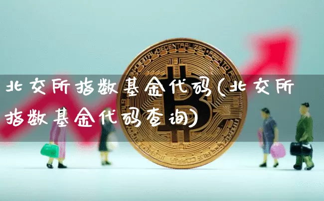 北交所指数基金代码(北交所指数基金代码查询)_https://www.czytfl.com_期货走势_第1张