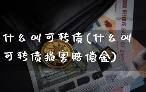 什么叫可转债(什么叫可转债损害赔偿金)_https://www.czytfl.com_期货行情_第1张