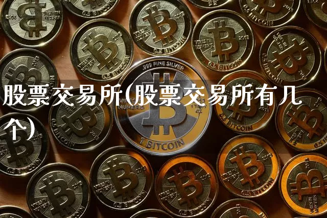 股票交易所(股票交易所有几个)_https://www.czytfl.com_期货走势_第1张