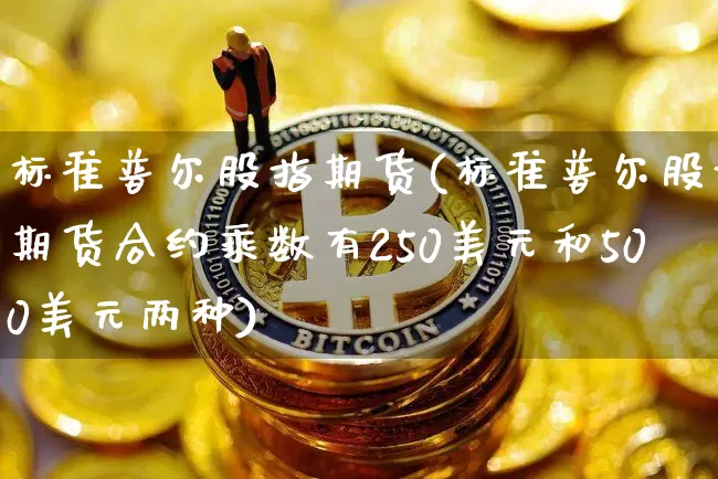 标准普尔股指期货(标准普尔股指期货合约乘数有250美元和500美元两种)_https://www.czytfl.com_期货行情_第1张