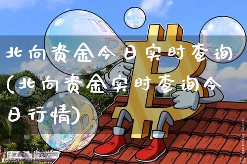 北向资金今日实时查询(北向资金实时查询今日行情)_https://www.czytfl.com_期货行情_第1张