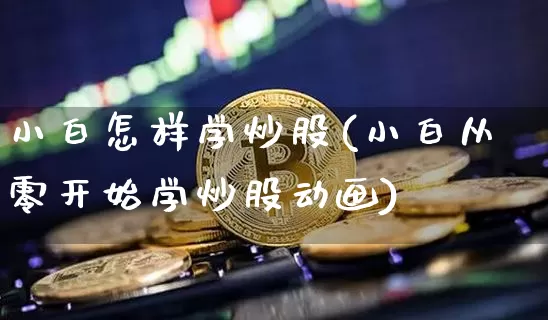 小白怎样学炒股(小白从零开始学炒股动画)_https://www.czytfl.com_期货_第1张