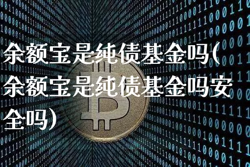 余额宝是纯债基金吗(余额宝是纯债基金吗安全吗)_https://www.czytfl.com_期货行情_第1张