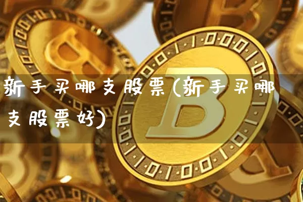 新手买哪支股票(新手买哪支股票好)_https://www.czytfl.com_期货价格_第1张