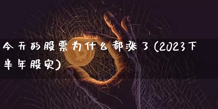 今天的股票为什么都涨了(2023下半年股灾)_https://www.czytfl.com_期货_第1张