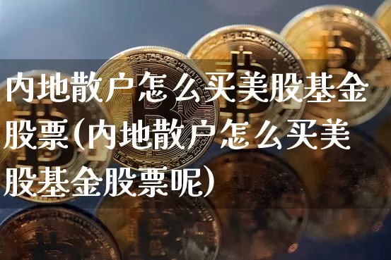 内地散户怎么买美股基金股票(内地散户怎么买美股基金股票呢)_https://www.czytfl.com_期货价格_第1张